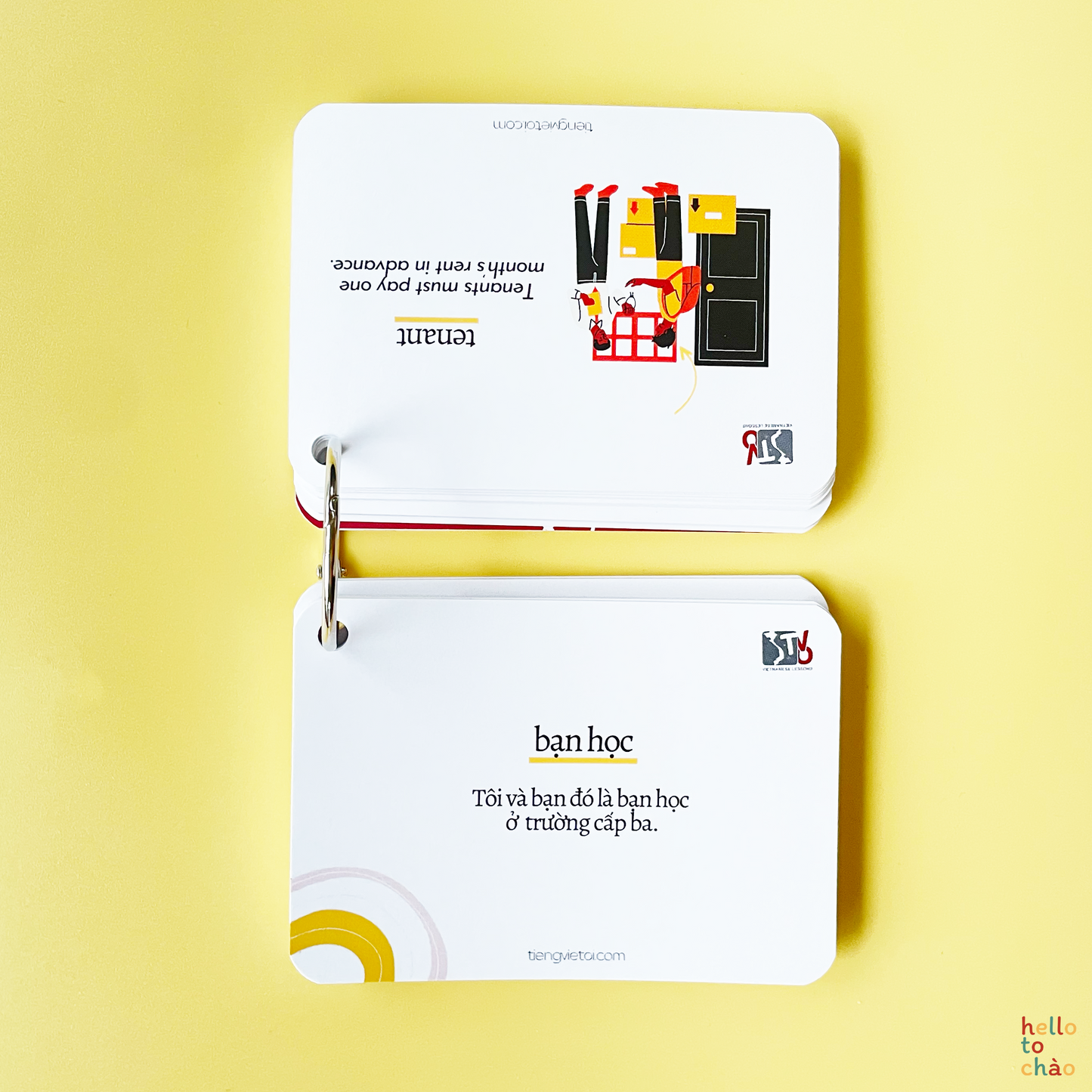 Relationships Flashcards
