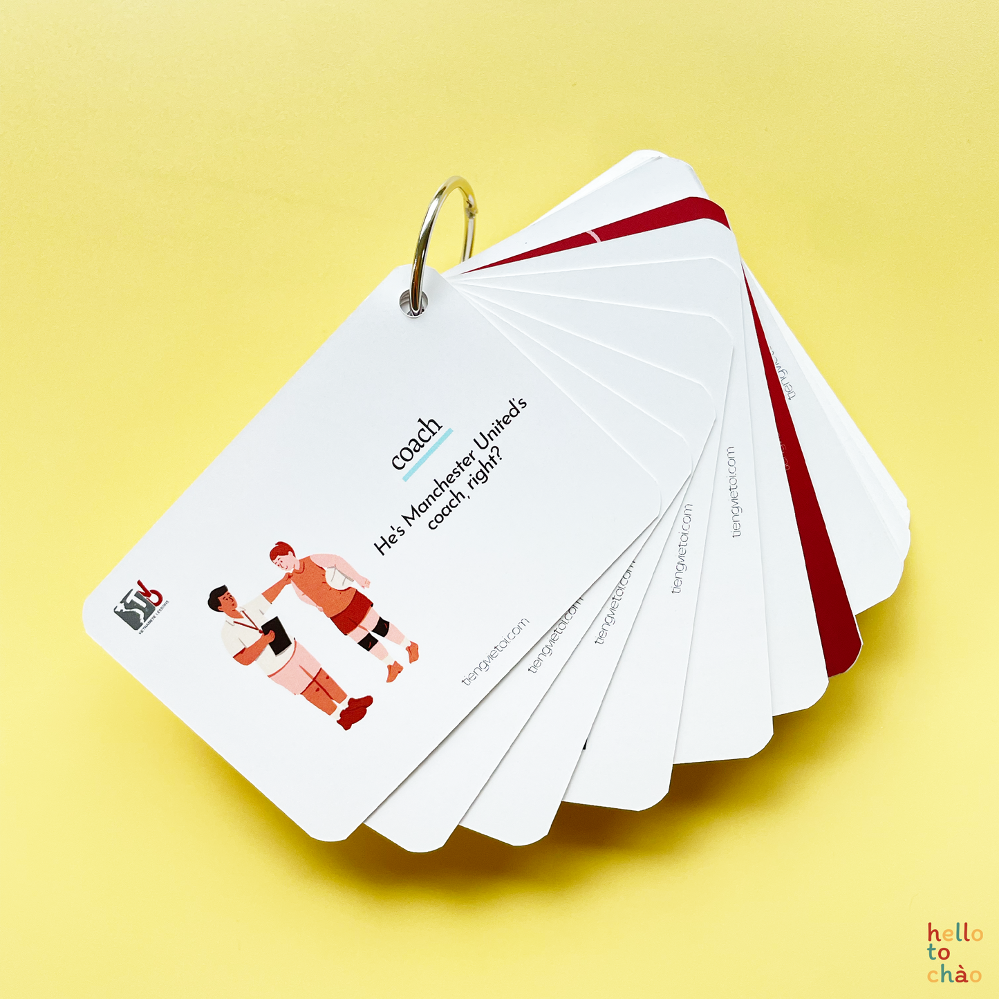 Occupations Flashcards