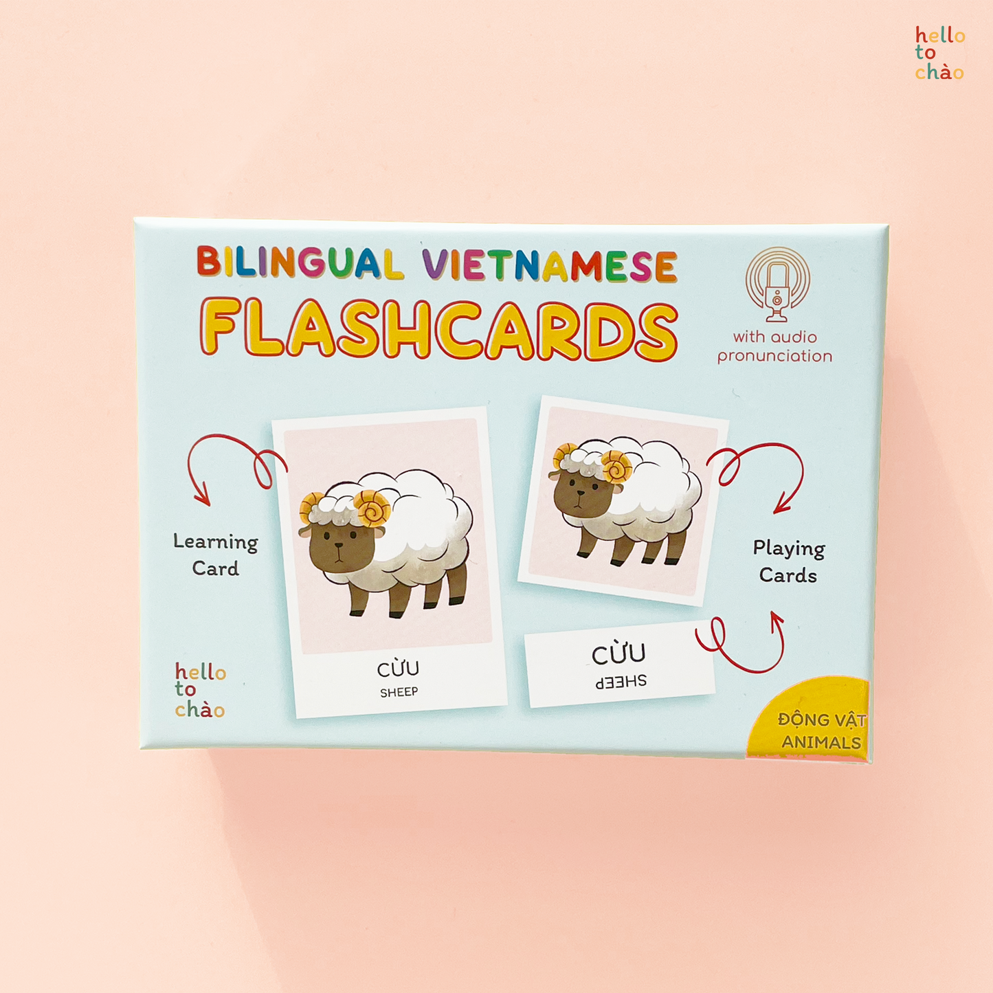 Animal Flashcards