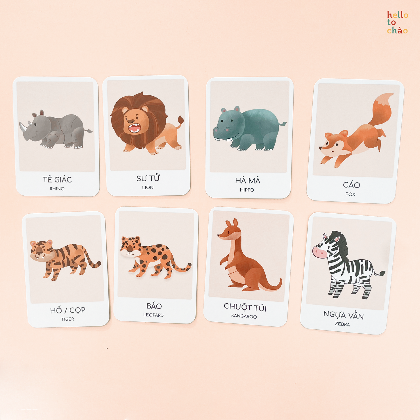 Animal Flashcards