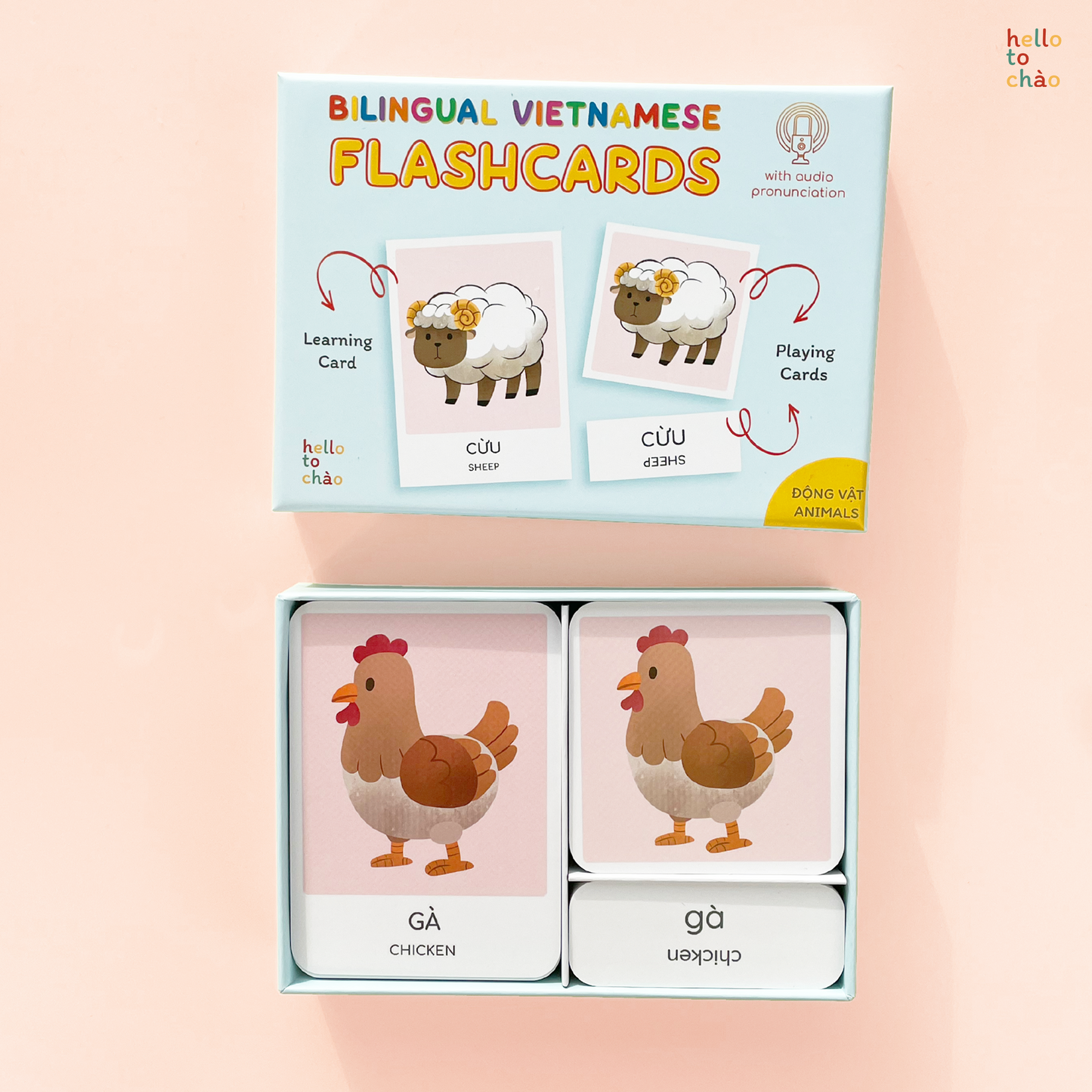 Animal Flashcards